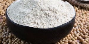 Defatted Toasted Soya Flour