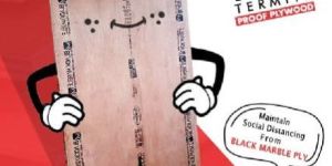 BLACK MARBLE PLYWOOD AND FLUSH DOOR