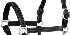 Horse Halters