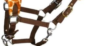 Horse Head Collars