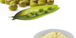Mung Bean Protein Isolate