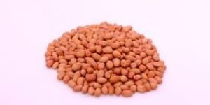 Peanut Seeds