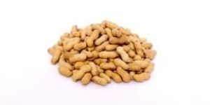 Raw Bold Peanuts