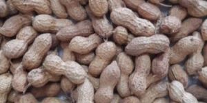 Raw Java Peanuts