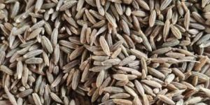 Europe Cumin Seeds