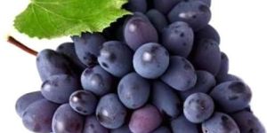 Fresh Black Grapes