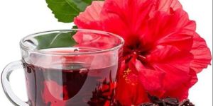 Hibiscus Green Tea