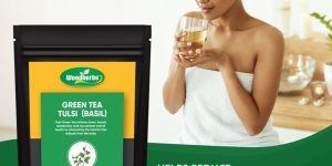 Tulsi Green Tea