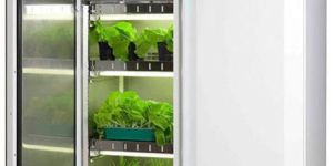 Plant Growth Chamber