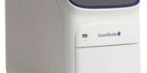 Real Time PCR System