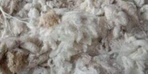 PV Cotton Waste