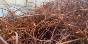 Copper Cable Scrap
