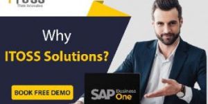 SAP Business One Partner ERP Software
