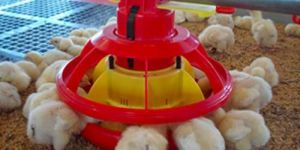 Poultry Feeder