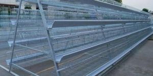 Poultry Layer Cage