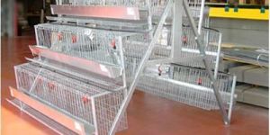 Stainless Steel Poultry Cage