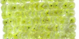 Carnation Flower Panel