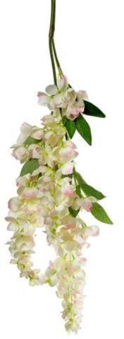 DELPHINIUM HANGING FLOWER