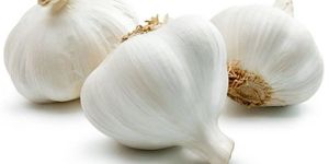 Ooty Garlic