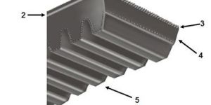 Raw Edge Variable Speed Belts