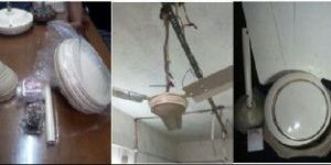 NETI 12VDC BLDC Ceiling Fan