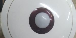 NETI 12VDC BLDC Ceiling Fan (Remote)