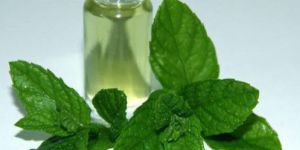 Mentha Oil Arvensis (LM 68 - 72, TMC 75%)