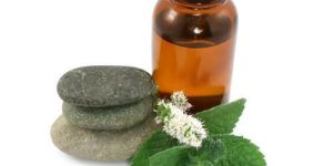 Mentha Piperita Oil (Menthofuran 1 to 9%)