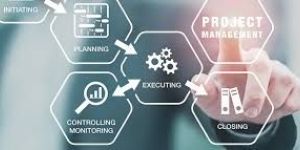 Project Management Services