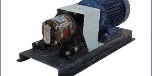 Excel Stainless Steel Gear Pumps