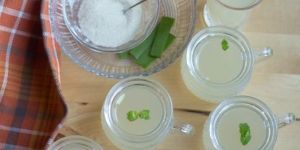 Lemon Aloe Vera Juice
