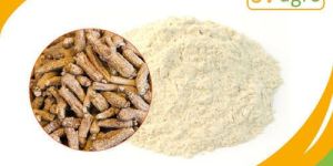 Siberian Ginseng Extract