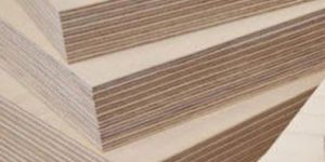 Birch Plywood