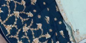 Embroidered Lehenga Choli