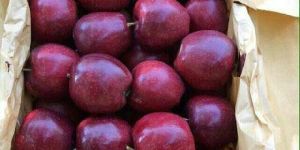 Fruits Apples & Kiwi