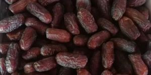 Shahin Arian Piarom Dates