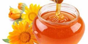 Sunflower Honey