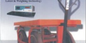 Electronic Self Weighing Vehicle