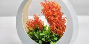 Decorative Flower Pots