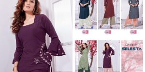 Ladies Fancy Kurti