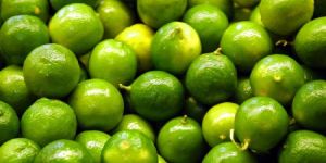 Fresh Lime