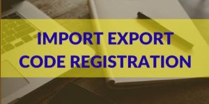 Import Export License