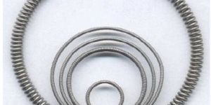 Oil Seal Spring