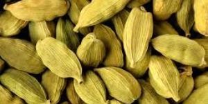Cardamom