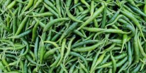 Fresh Green Chilli