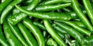 Fresh Green Chilli