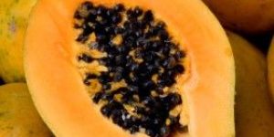 Fresh Papaya