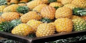 Fresh Pineapple