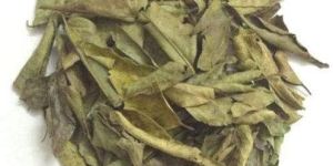 Dry Curry Leaves