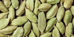 Green Cardamom